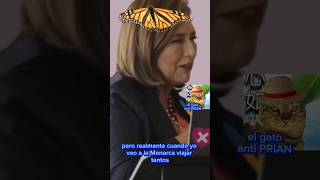 millones de años tarda la mariposa monarca en emigrar según Xochitl Gálvez xochitlgalvez [upl. by Hurwit]