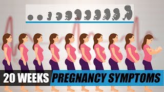 Fetal Development Week by Week  20 Weeks Pregnant Symptoms [upl. by Desdee]