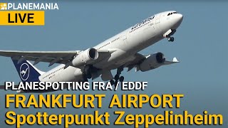 Planespotting LIVE Frankfurt Airport Spotterpunkt Zeppelinheim [upl. by Sudnor]