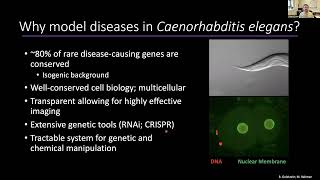 Complementary Gene Editing Approaches to Investigate Rare Mitochondrial Disease [upl. by Imotih]