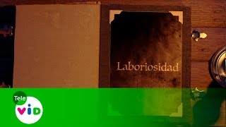 Valorarte I La Laboriosidad  Tele VID [upl. by Drue613]