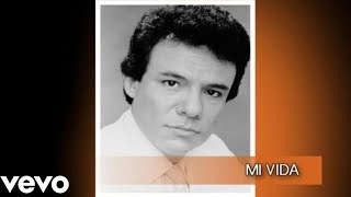 José José  Mi Vida Cover Audio [upl. by Oler]