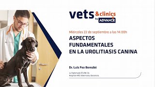 44ES quotAspectos fundamentales en la urolitiasis caninaquot [upl. by Swann]