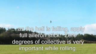 Tail Slide and Rolling Tail Slide  Flight Sim [upl. by Odlanir696]