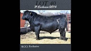 Cattlemans Choice Bull Sale  March 16 2024 [upl. by Binnings]