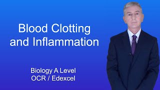 A Level Biology Revision quotBlood Clotting and Inflammationquot [upl. by Animas]