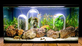 Underwater Riparium Air Pockets for Houseplants Grown in Aquarium Substrate Aquascape [upl. by Linnea]