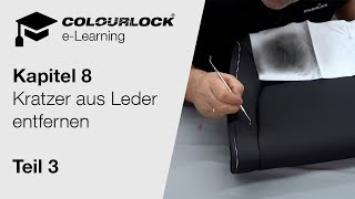 Kratzer aus Leder entfernen  Teil 3 1222 Multilingual subtitle  elearninglederzentrumde [upl. by Htebi]