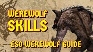 ESO Guide  Werewolf Skills Overview [upl. by Uyr]