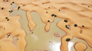 Flooding in the Sahara desert fills lake that had been dry for 50 years [upl. by Atorod718]