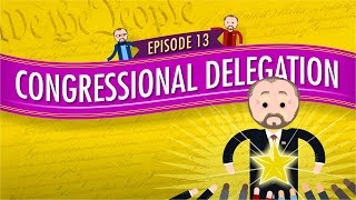 Congressional Delegation Crash Course Government and Politics 13 [upl. by Ronnholm]