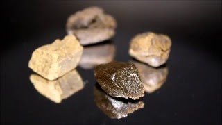 Strawberry x Banana Kush Cream  Chocolope Block Hash  TempleBall Hash  Kosher Kush Block Hash HD [upl. by Amhser181]