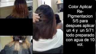 Colorimetria Reparar Cabello Dañado COLORIMETRY Repair Damaged Hair [upl. by Nesahc]