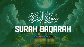 Surah Baqarah  সূরা বাকারাহ  Beautiful Quran Recitation [upl. by Snell24]