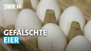 Gefälschte Eier  Wie uns die Industrie austrickst  SWR betrifft [upl. by Adnaloj]