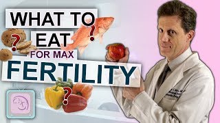 Fertility Diet 7 science based food tips for TTC [upl. by Rukna867]