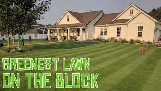 SECRET to Keep Your Lawn GREEN ANYTIME [upl. by Colner]