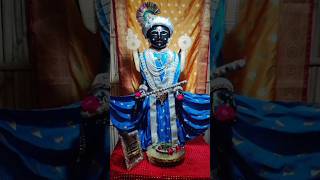 Rajadhiraj Dwarkadhish Darshanam 290924 Koi Jaye jo Vrindavan  Shriji Inspires Us shorts [upl. by Proctor304]