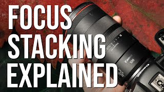 Macro focus stacking methods EXPLAINED Best tips I use for sharp shots [upl. by Aihsemat]