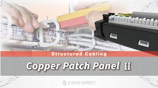 How To Install The Patch Panel Easy Tips Sharing [upl. by Ilenna578]