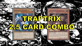 TRAPTRIX 25 CARD COMBO Parallel eXceed  Myrmeleo  Trap Card [upl. by Charlene477]