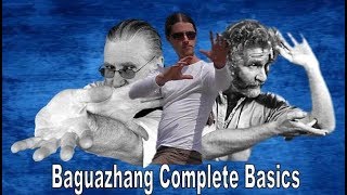 Bagua Complete Basics Intro [upl. by Oalsinatse470]