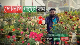 গোলাপ গাছের দাম সবুজ বাংলা নার্সারিতে  Rose Plant Price In Mirpur  Gardening Bangladesh [upl. by Anne-Corinne57]