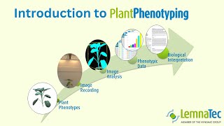 Introduction to Plant Phenotyping [upl. by Gosser]