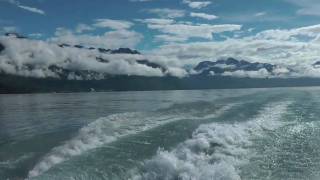 Wild Life of Prince William Sound Alaska [upl. by Alisia]