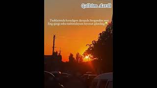 Tushlarimda koradigan darajada sevgandim youtubeshorts sad heartbroken love sadheartbroken [upl. by Ayirp]