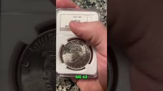 1923 PEACE DOLLAR  Cheap Slabbed Silver shorts fyp coins silvercoin silverdollar [upl. by Bear]