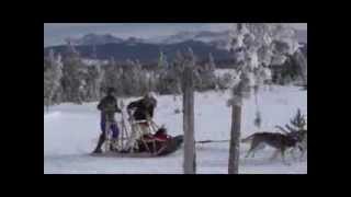 Dogsledding at Snow Mountain Ranch in Winter Park Colorado [upl. by Tengdin]