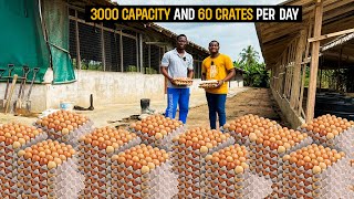 Farm Tour  Inside a 3000 Capacity Poultry Farm Producing 60 Crates of EggsDay in Ghana poultry [upl. by Spark]