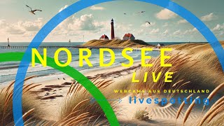 Die besten Webcams an der Nordsee Live entlang der Küste von Borkum bis Sylt [upl. by Enajyram]