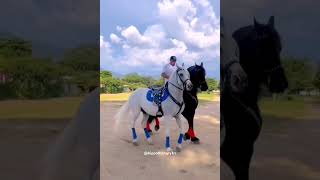 Hippotherapy Иппотерапия hippotherapy horseriding horsevideo horseride sporthorses [upl. by Elah465]