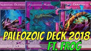 YGOPRO PALEOZOIC LINK FORMAT DECK 102018  WITH FROG [upl. by Morissa]