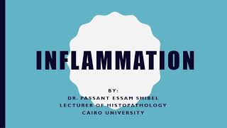 INFLAMMATION 3 [upl. by Eirrok]