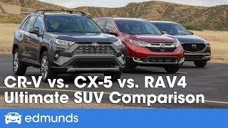 This New Cheap Vehicle Just Killed the Toyota Rav4 [upl. by Adnorrehs238]