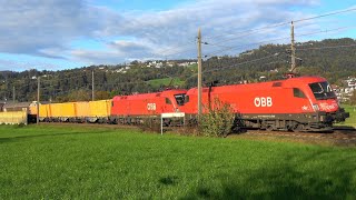 Schwarzach Vorarlberg🐄🐄 185 591 Railjet Güterzüge RH4748 ÖBB Cityjet VMOBIL amp Rindviecher [upl. by Feil743]