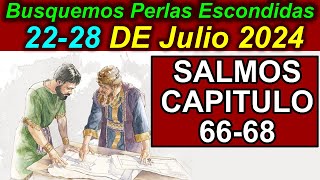 Busquemos PERLAS ESCONDIDAS de esta semana 2228 de Julio 2024 Comentarios [upl. by Rask]