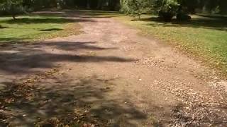 Crushed Concrete or Gravel For Driveway [upl. by Pryor13]