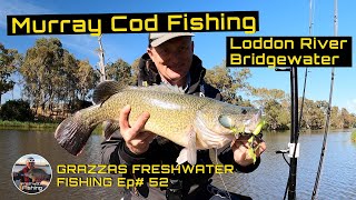 Murray Cod Fishing Loddon River Bridgewater [upl. by Aicemat509]