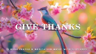 Give Thanks Instrumental Worship and Scriptures with Birds 🕊 Worship Grace [upl. by Yelena49]