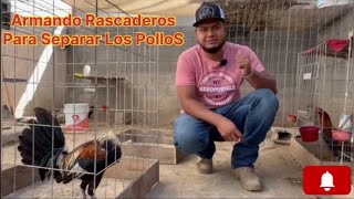 ARMANDO RASCADEROS PARA SEPARAR POLLOS  Le Dimos una organizada a los gallos [upl. by Jeuz]