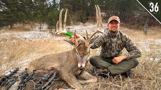 MY BIGGEST BUCK with a BOW Selffilmed Saddle Hunt [upl. by Urbannal]