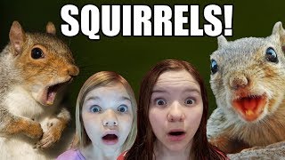 Squirrels Loose in the House [upl. by Ennybor840]