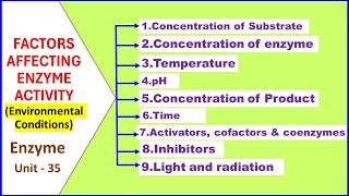 Factors Affecting Enzyme Activity  Enzyme Regulation by Environmental Factors  Enzyme Unit 35 [upl. by Gilberto]