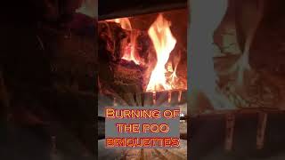 How to make Horse Poo fire briquettes freeheat multimate shorts [upl. by Akiem]