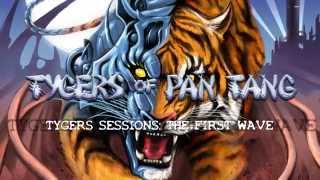 TYGERS OF PAN TANG quotGanglandquot OFFICIAL [upl. by Peednam]