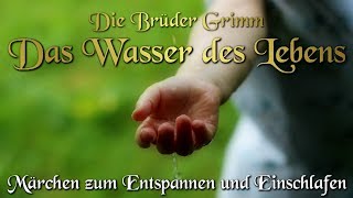 Das Wasser des Lebens  KHM 097  Hörbuch deutsch Märchen der Brüder Grimm [upl. by Leanora]